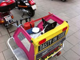 März 2014 Vespatreffen Verkehrshaus Luzern